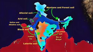 भारत में मृदा के प्रकार नोट्स 