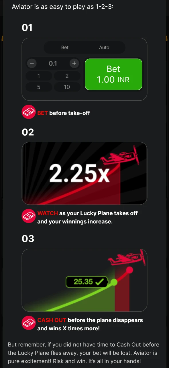 Review Aviator game rules in India before placing your first bet.